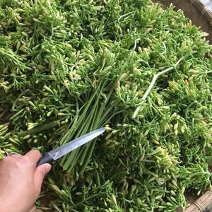Produit agricole de haute qualité Telosma Cordata en provenance du Vietnam - Product Image 5