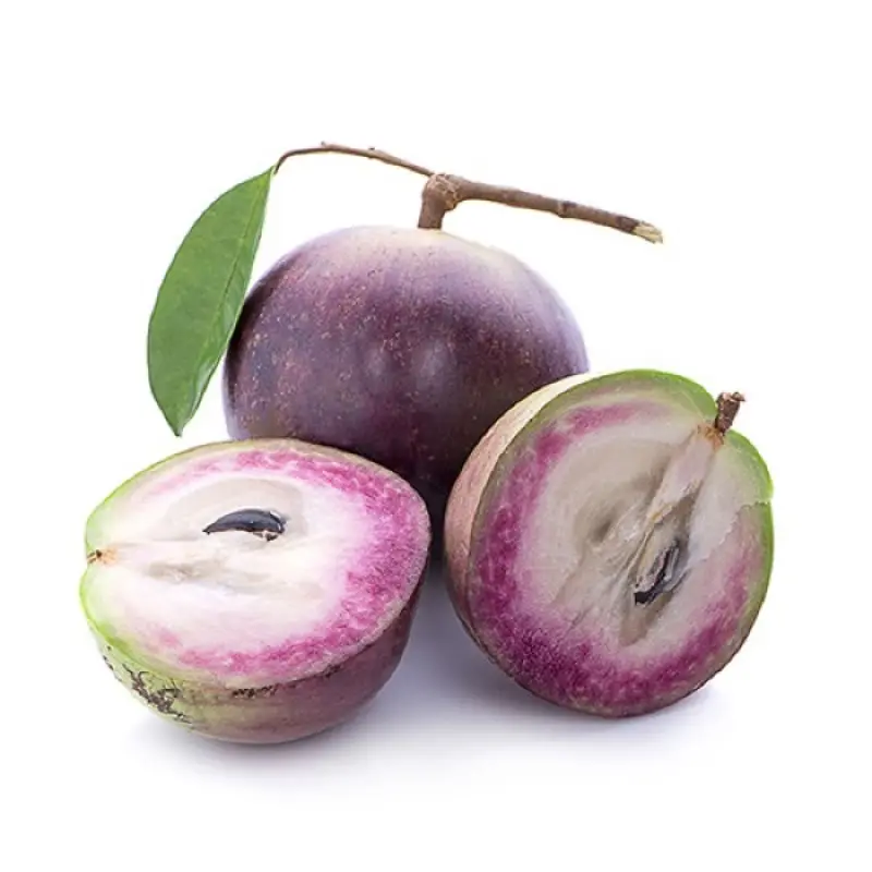 Süt elma <span class=keywords><strong>meyve</strong></span>, başlangıç elma Viet Nam