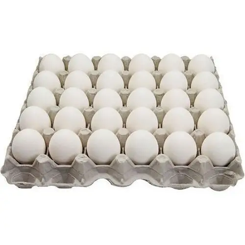 सफेद ताजा चिकन तालिका अंडे/कृत्रिम <span class=keywords><strong>शुतुरमुर्ग</strong></span> अंडे बिक्री के लिए