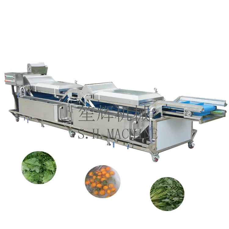 बड़े गैर-विनाशकारी सब्जी धोने की मशीन लाइन रसोई खाद्य मशीन सलाद सलाद वॉशर फल सफाई उपकरण