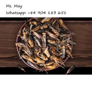 Grillo de frozen seco de alta proteína, 100% orgánico, MS May + 84 904183651 - Product Image 5