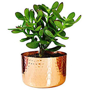 Maceta de flores de forma redonda de cobre con acabado pulido para decoración de jardín doméstico - Product Image 1
