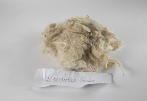 Cừu Merino Lông Cừu Trắng Cỡ Trung 20-25 Micron - Product Image 2