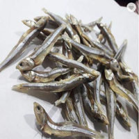 Petits poissons pédalier séchés, poisson-Katie + 84352310575