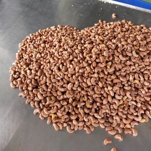 เม็ดมะม่วงหิมพานต์เวียดนามคุณภาพดี W320 W240 ขายดี ราคาพิเศษ จำหน่ายส่งออกจากโรงงาน อาหารว่าง - Product Image 5