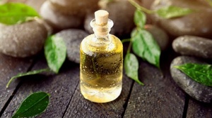 Huile essentielle d'arbre à thé 100% pure et biologique, d'origine australienne, certifiée GMP, distillée à la vapeur - Achetez chez AARNAV GLOBAL EXPORTS - Product Image 3