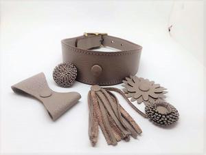 <span class=keywords><strong>Collar</strong></span> de perro de la correa de cuero <span class=keywords><strong>Collar</strong></span> de perro