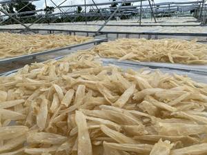 MEILLEUR PRIX POUCHE DE POISSON/VENTRE DE POISSON - POUCHE DE PANGASIUS - Product Image 4