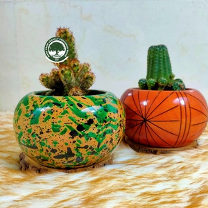 Macetas Redondas de Madera Talladas a Mano Riksh con Patrón Irregular, Diseño Rústico Ecológico para Escritorio - Product Image 1