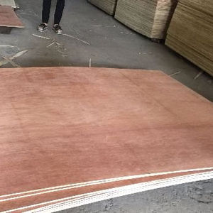 ไม้อัดสำหรับงานก่อสร้างบรรจุภัณฑ์แบบ bingtagor Face 5มม. 28มม. 1220x2440มม. กาวขนาดมาตรฐาน E1E2 E0ทองราคาถูก - Product Image 1