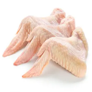 Clean Frozen Chicken Wings In Bulk For Consumption