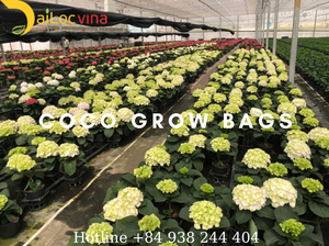 Việt Nam <span class=keywords><strong>Coco</strong></span> Than Bùn Khối <span class=keywords><strong>5kgs</strong></span> <span class=keywords><strong>Coco</strong></span> Than Bùn Giá - Product Image 5