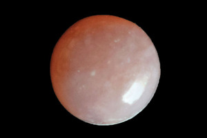 Opale rose péruvienne naturelle de qualité supérieure, cabochon rond plat de 6 mm, pierre précieuse en vrac, qualité 3A, pour bague, boucles d'oreilles, collier, bijoux - Product Image 3