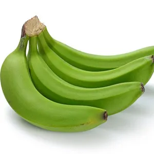 The exporter fresh banana from Vietnam 2023