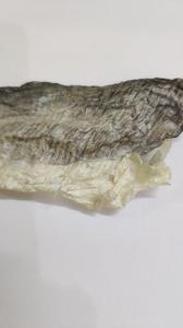 Pangasius แห้งปลาผิวลิลลี่ + 84 906927736