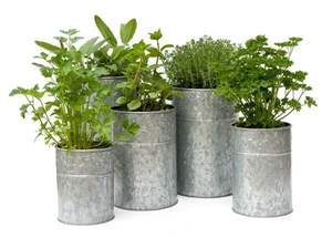 Dernier Concepteur Pots de Planteur Jardin Décoration de La Maison Créative Succulentes En Métal Motif Fleur Planteur Pot Avec Support En Métal - Product Image 4