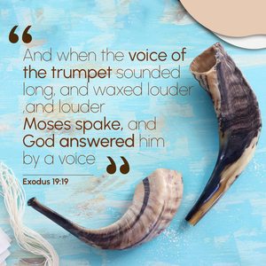 Shofar Tradicional Pulido de Cuerno de Carnero, Color Natural, Forma Natural, Tamaño Personalizado, Religioso, Israel, Judío, AZC/0446 CRAFTS - Product Image 6