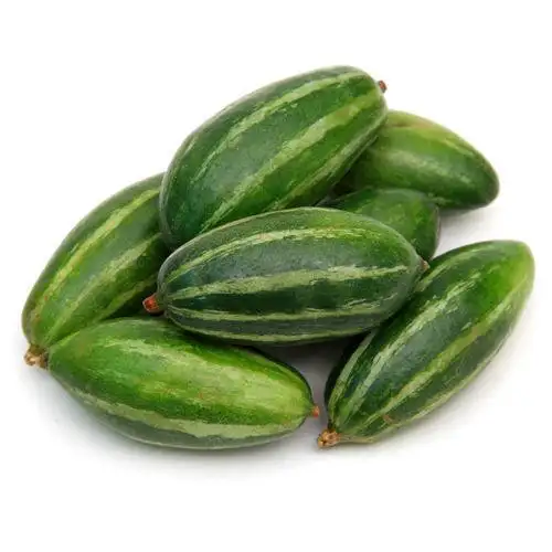 High Quality Export Oriented Fresh Natural Vegetables Pointed Gourd From Bangladesh