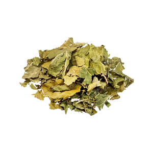 Порошок экстракта листьев тутового дерева от производителя/экстракт листьев тутового дерева с 1%/5% DNJ - Product Image 3