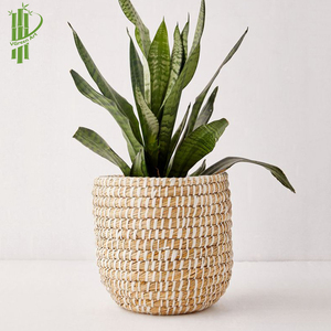 Trang Trí Trong Nhà Chậu Chậu Hoa Chậu & Chậu Hoa Lưu Trữ Trong Nhà Giá Rẻ - Product Image 2