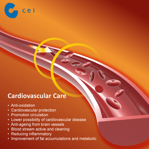 Cardiovascular corazón importa L-arginina <span class=keywords><strong>cápsulas</strong></span> de linaza en polvo <span class=keywords><strong>Cúrcuma</strong></span> Longa curcumina <span class=keywords><strong>cúrcuma</strong></span> <span class=keywords><strong>cápsulas</strong></span> - Product Image 3