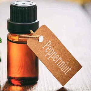 Hojas de menta (Mentha Piperita), aceite esencial puro, kit para hacer perfumes, etiquetado privado, certificado GMP, destilación por vapor - Product Image 3