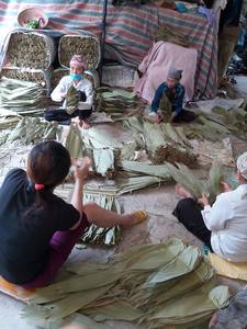 Haute Qualité-Feuilles De Bambou Feuille Écologique-Bon Prix du Vietnam - Product Image 3