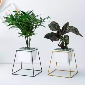 Ceramic Flower <b>Pot</b> with Green <b>Plants</b> Metal Material - Product Image 2