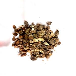 Moringa - Moringa Oleifera-Il hydrate notre peau, il a des propriétés curatives et équilibre les huiles - Product Image 4