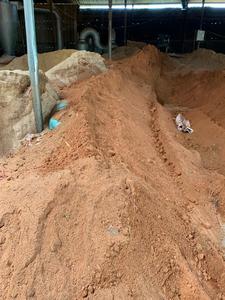 Briquetas de carbón activado de la mejor calidad para quemar durante 6 horas hechas de aserrín de madera dura de ceniza blanca para parrilla de barbacoa - Product Image 3