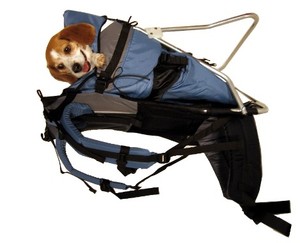 Handbag Shoulder Large Camping Outdoor <b>Pet</b> <b>Carrier</b> Tote Bag <b>Pet</b> - Product Image 3