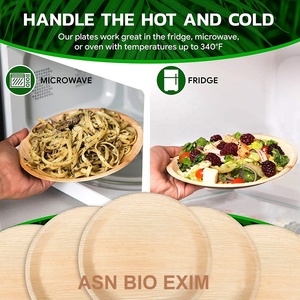 Cuencos y platos de vaina de hoja de palma Areca ecológicos desechables clásicos Colección de platos y utensilios - Product Image 2