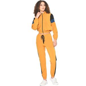 Nouvel ensemble de survêtement d'hiver élégant et personnalisé avec logo, grande taille, crop top, sweat à capuche, jogging, ensemble 2 pièces pour femmes en velours - Product Image 1