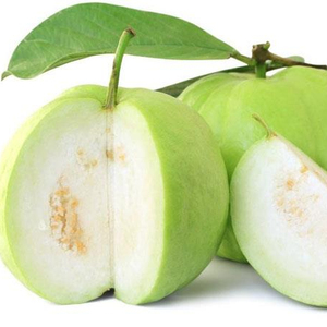 Quả ổi tươi chất lượng cao từ Việt Nam/MS LAURA +84 896611913 - Product Image 1