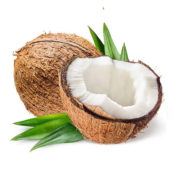 Top de coco natural de alta calidad, producto para la exportación