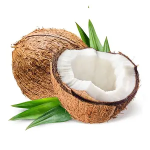 畅销孟加拉国优质出口导向新鲜成熟椰子作物甜水半壳椰子