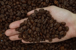Vietnam Highland Arabica <b>Coffee</b> <b>Beans</b> 250g Full City + Light Roast Bitter Flavor Customized Packaging Bulk Export Wholesale OEM - Product Image 3