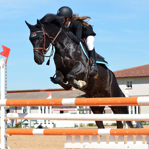 Gants d'équitation extensibles pour femmes, 1 paire, respirants, pour cyclisme d'équitation en plein air, pour conduire - Product Image 6