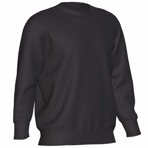 Sweats à col rond surdimensionnés pour hommes de haute qualité 100% coton Logo personnalisé hiver mode Style décontracté motif solide - Product Image 1