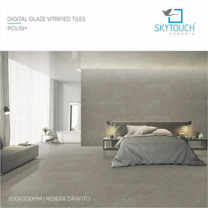 La glaçure intérieure blanche romantique de porcelaine couvre de tuiles la nouvelle conception 600x600MM d'Inde pour des murs intérieurs de villa - Product Image 4