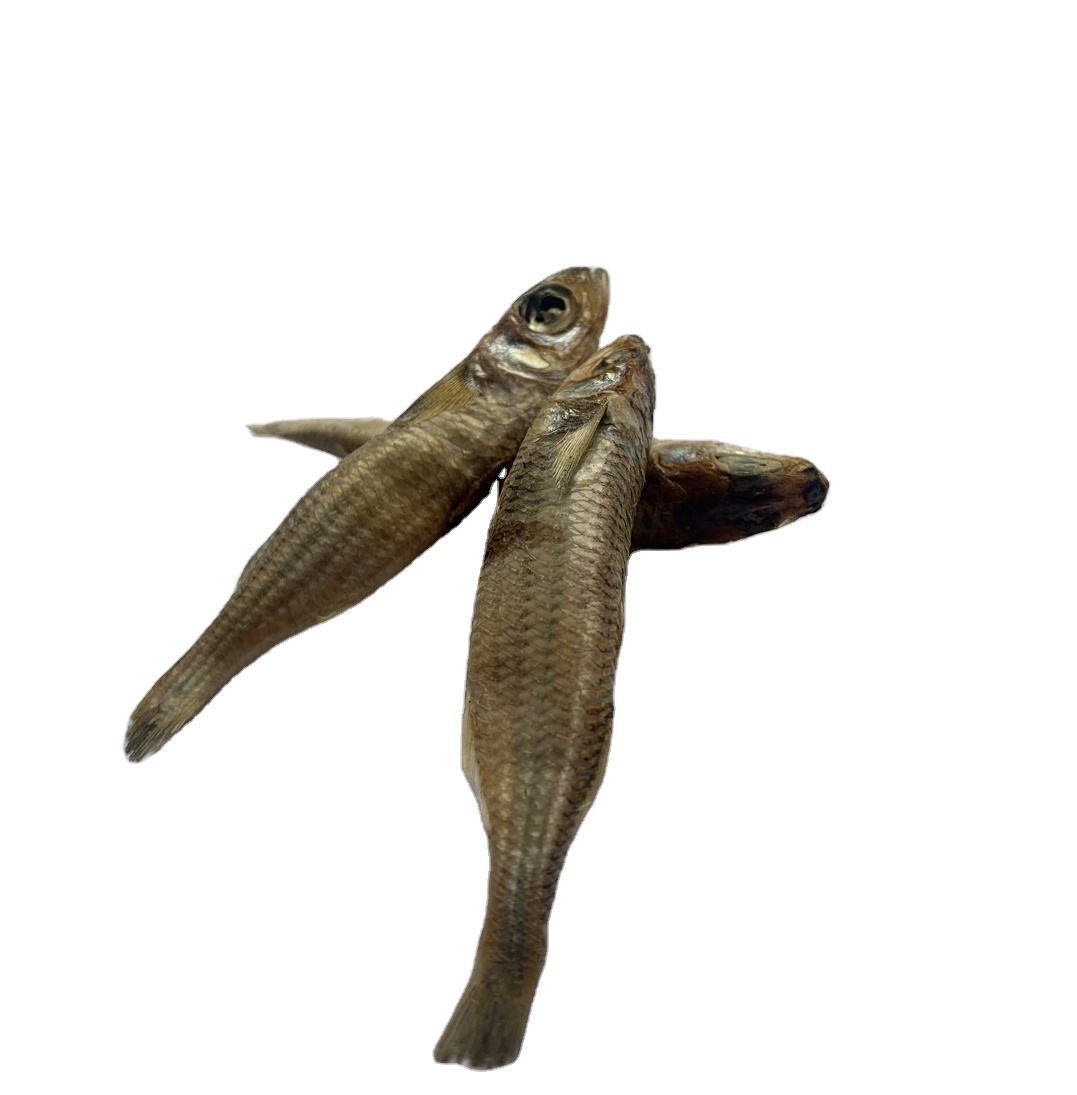 dried sardines - sardines for dog treat high quality wholesae