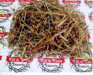 Shankhpushpi-Convolvulus plulisenica-seluruh tanaman (Panchang) ekstrak Herbal 99% kemurnian kelas atas Premium ISO bersertifikat-Calms - Product Image 4