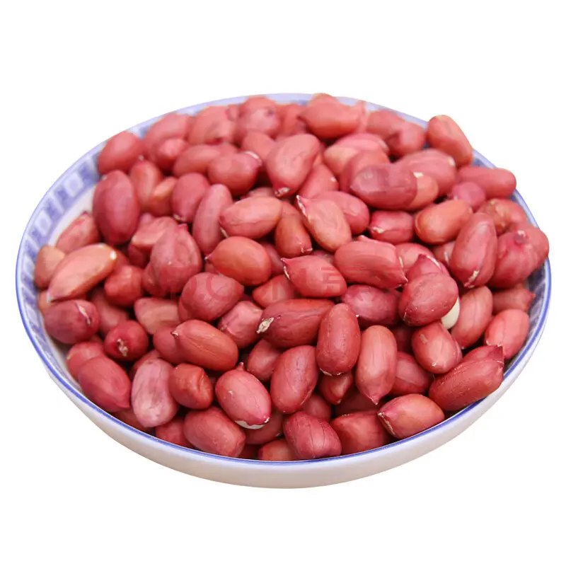 उजबेकिस्तान से महान गुणवत्ता वाले कच्चे मूंगफली गुठली कृषि निर्यातक निर्माता थोक मूल्य