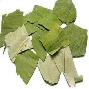 Produit chaud!!! Feuilles de LOTUS séchées du VIETNAM avec un prix compétitif et une qualité STANDARD élevée en 2022 - Product Image 5