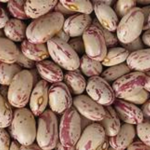 Haricot moucheté - Product Image 1