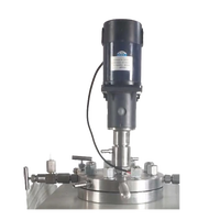 Agitateur à accouplement magnétique motorisé à entraînement direct en acier inoxydable à l'échelle de laboratoire pour applications de revêtement chimique, haute productivité