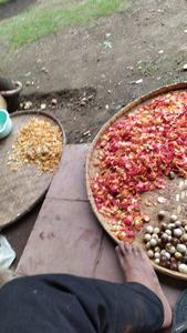 กระบองมือ - Product Image 5