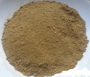 Poudre de sarrasun séchée, engrais pour algues et algues, WhatsApp: Ms.Pinky (+ 84), 35 9268 345 - Product Image 6