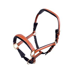 En gros, accessoire de licol en cuir de qualité supérieure pour équipement équestre western, avec finition en laiton faite à la main et cousue main, taille Full-Cob - Product Image 3