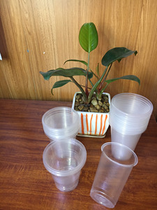 Lowest price Free samples Transparent Clear PP 7/9/12/16/20oz Disposable <b>Drinking</b> <b>Cups</b> with Lid Customizable for Travel Camping - Product Image 2